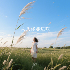 风从你那边吹来