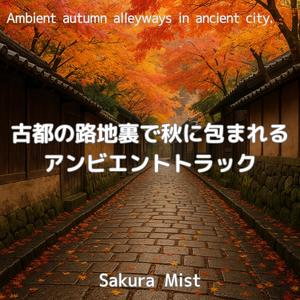 木漏れ日のアンビエンス