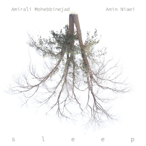 Sleep