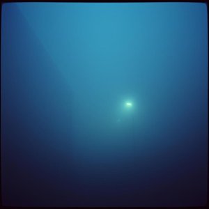 Neblina