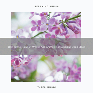 Beautiful Noises Of Nature And Animals For Perfect Absolute Recharge