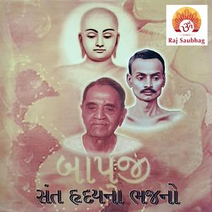 Jiya Jane Meri Safal Dhariri