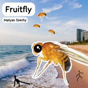 Fruitfly