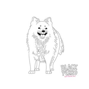 Mañana no sé qué pasará