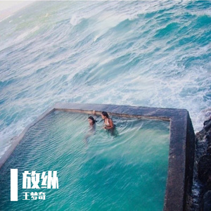 放纵L (抖音DJ版)