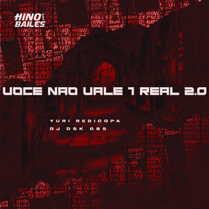 Você Não Vale 1 Real 2.0