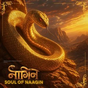 Soul Of Naagin (7th Revenge Version)