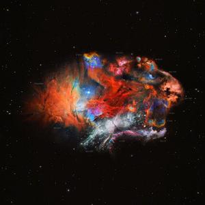 也许明天-王毛毛