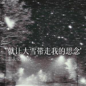 就让大雪带走我的思念