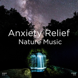 수면을위한 바다의 소리