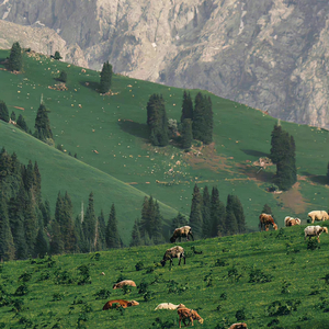 春天也没多远了