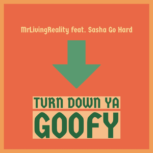 Turn Down Ya Goofy (feat. Sasha Go Hard)
