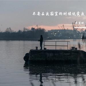 不要在我寂寞的时候说爱我