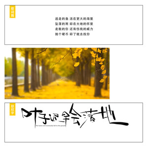 叶子迟早会落地