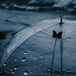 下一次爱情来的时候 (爱本是尘埃)