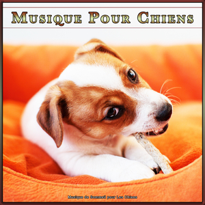 Musique Pour Chiens