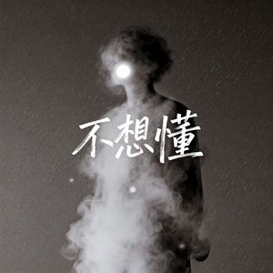 不想懂