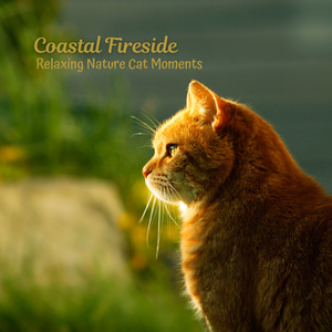 Kittens' Kindling Kismet