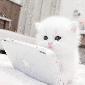 漫漫