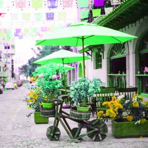 有趣秋天的共鸣情怀