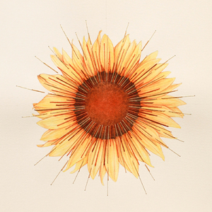 Florecer (feat. Omar García Márquez)