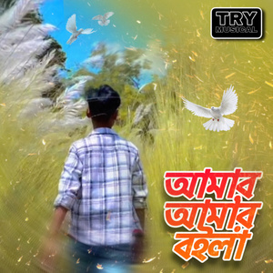 Amar amar boila