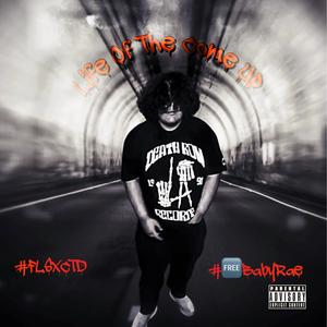 Let You Down (feat. MjSpinAgain)