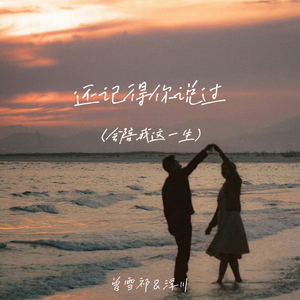 还记得你说过（会陪我这一生）