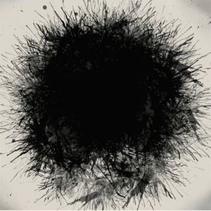 Thanksgiving Moon (Michna Remix)