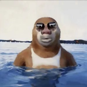 如果有一天有人读懂我