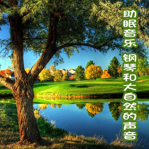 山谷溪流，森林鸟鸣