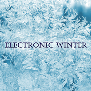 Electronic Winter