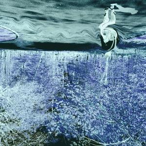 Variant (Instrumental)