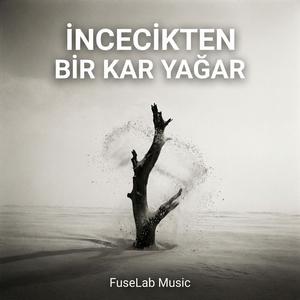 İncecikten Bir Kar Yağar