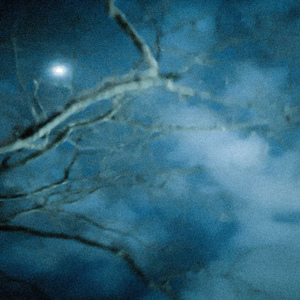 Fogging Reflection