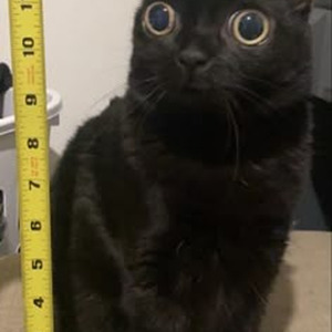 LA MEMORIA (sped up)