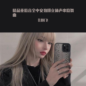 DJ国飞-精品重低音全中文劲爆立体声串烧舞曲（DJ国飞 remix）