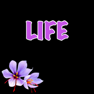 LIFE