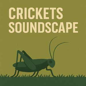 Crickets