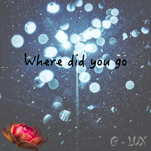 Where Did You Go