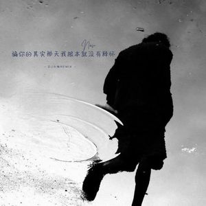 骗你的其实那天我根本就没有释怀