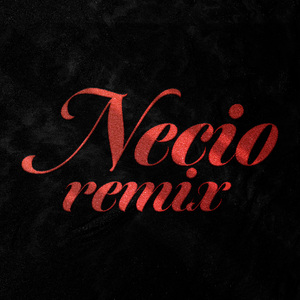 Necio (Remix)