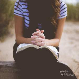 내 주의 보혈은