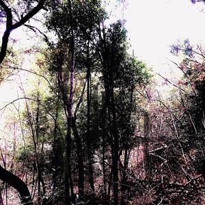 Out Here (feat. Nahyeeb, Swaywill & 6thSanity)