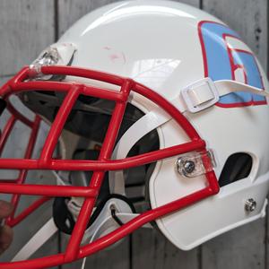 Bonn Gamecocks Song (feat. Bonn Gamecocks)