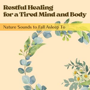 ゆったり音楽～自然音～