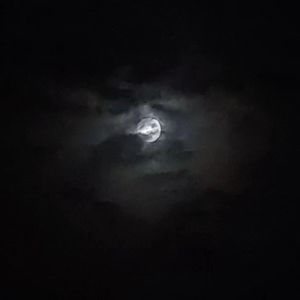 秋天解暑，我们结束