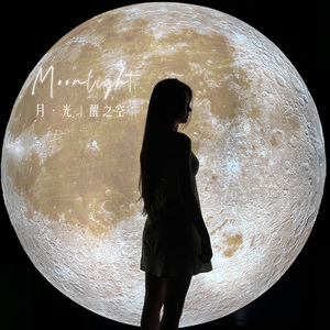 坠落星辰 （Starry night）