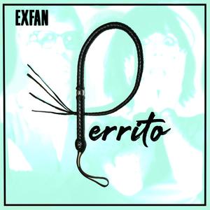 Perrito