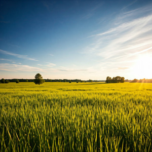 裸足の季節に生まれた恋